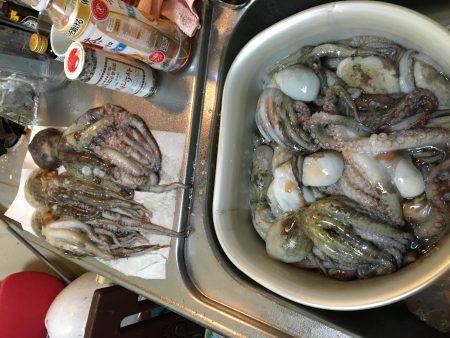 エギかテンヤか。