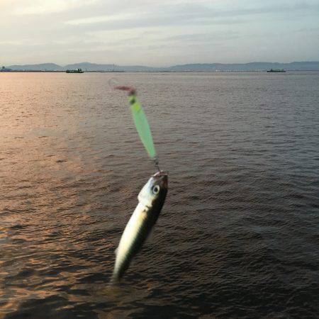 今年は少し時期が早いのか?