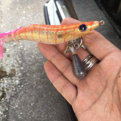 和歌山マリーナシティ海釣り公園