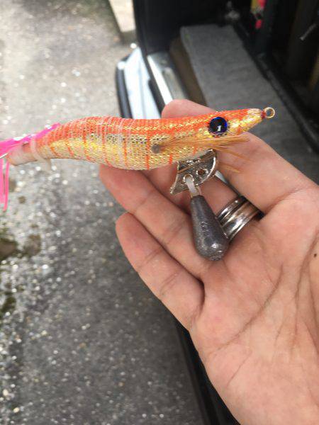 和歌山マリーナシティ海釣り公園