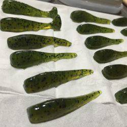 自作ワームでガシリング