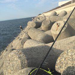 ショアジギング