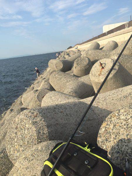 ショアジギング