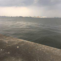 夕方タチウオワインド