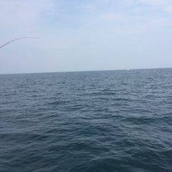 アジ25〜35㎝、真鯛32㎝