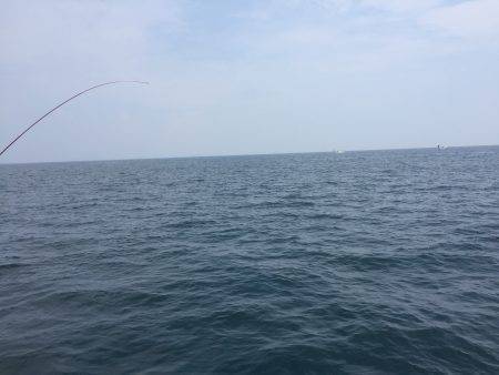 アジ25〜35㎝、真鯛32㎝