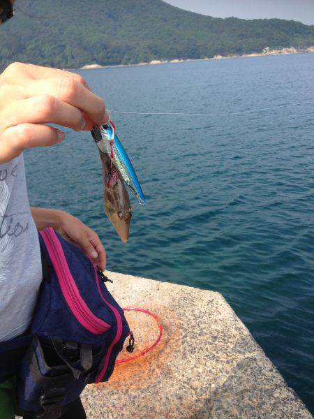 ナイトハギングでガシラ&キス