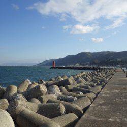 アジング絶好調