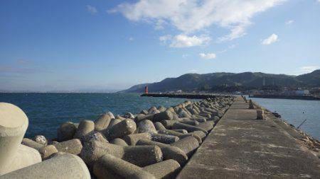 アジング絶好調