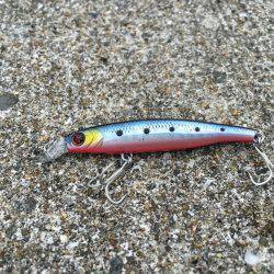 豆アジ、カマス