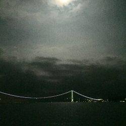 ケンサキ調査4日目