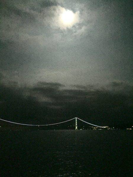 ケンサキ調査4日目