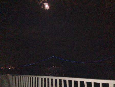 ケンサキ&アオリ!