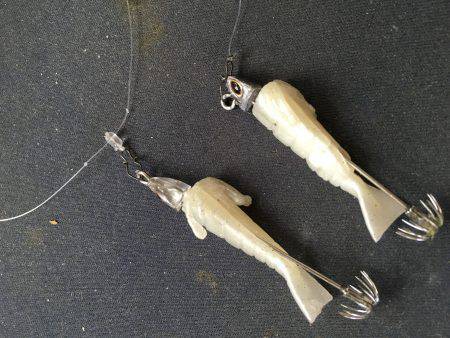 ケンサキ良い感じ( ^ω^ )