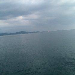 アオリまだ小さい、