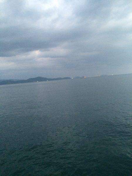 アオリまだ小さい、