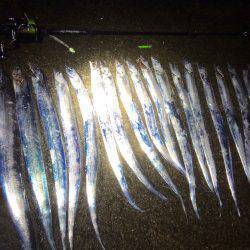 北港太刀魚‼︎