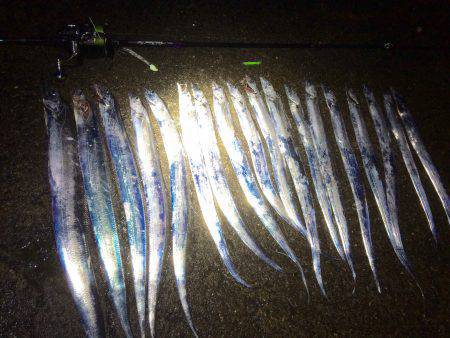 北港太刀魚‼︎