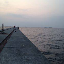 お盆休み駆け込み釣行