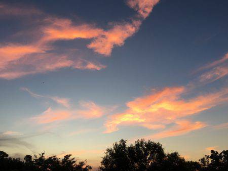 キジハタ高活性！