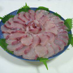 カンパチリベンジ成功♪