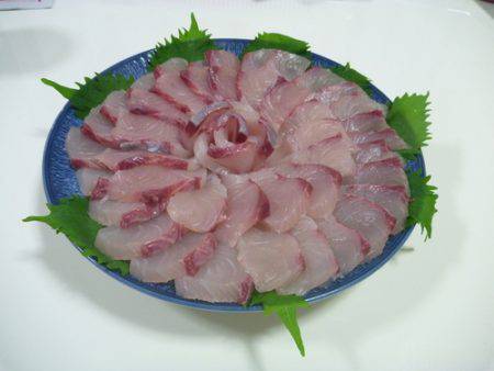 カンパチリベンジ成功♪