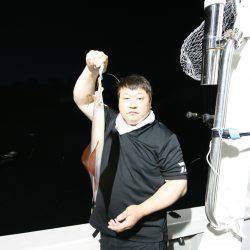 オーシャンズ　京都 釣果