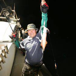 オーシャンズ　京都 釣果