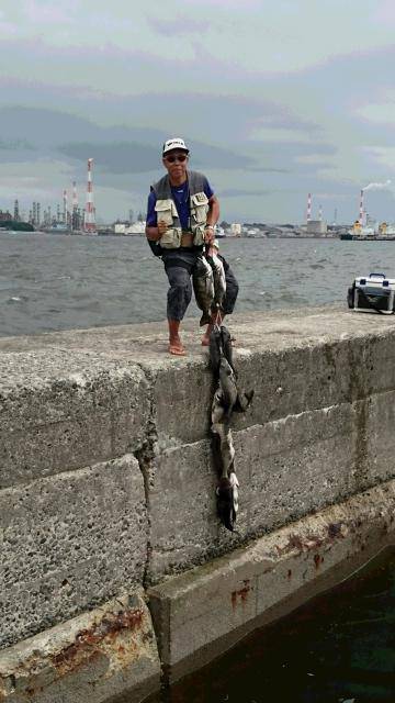 こなや丸 釣果