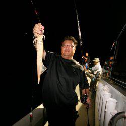 オーシャンズ　京都 釣果