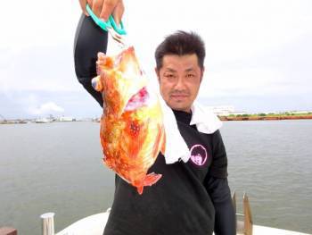 鯛紅丸 釣果