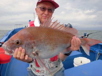鯛紅丸 釣果