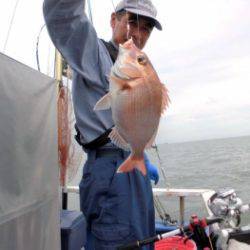 鯛紅丸 釣果