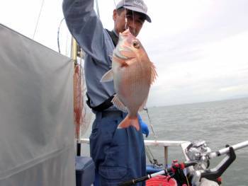 鯛紅丸 釣果