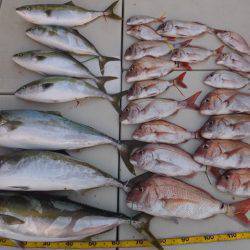 Hit Rush(ヒット ラッシュ) 釣果