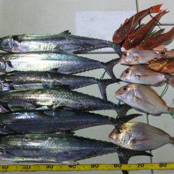 Hit Rush(ヒット ラッシュ） 釣果