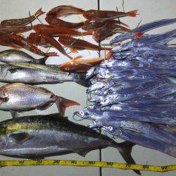 Hit Rush(ヒット ラッシュ) 釣果