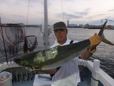 Hit Rush(ヒット ラッシュ） 釣果