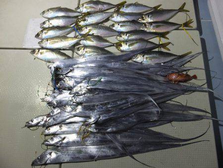 Hit Rush(ヒット ラッシュ） 釣果…