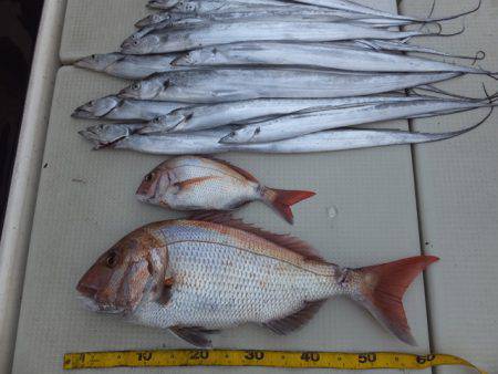 Hit Rush(ヒット ラッシュ） 釣果…