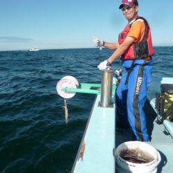 大吉丸 釣果