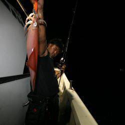 オーシャンズ　京都 釣果