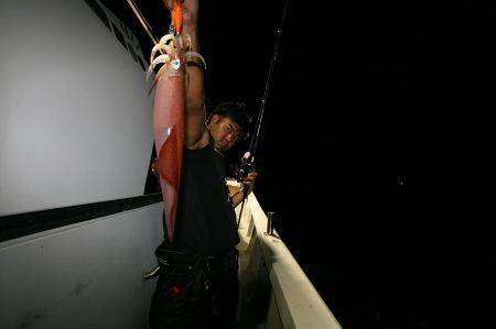 オーシャンズ　京都 釣果