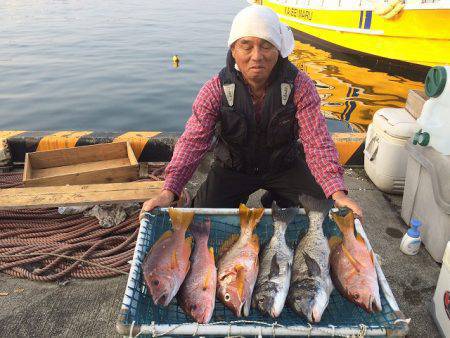 海星丸 釣果