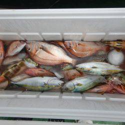 sea boss　シーボス 釣果