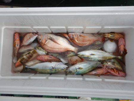 sea boss　シーボス 釣果