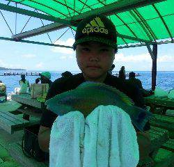 本部釣りイカダ 釣果