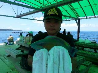 本部釣りイカダ 釣果