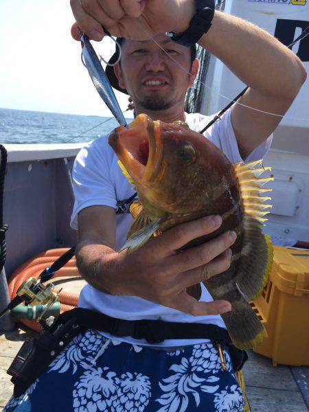 ファイヤードルフィン 釣果