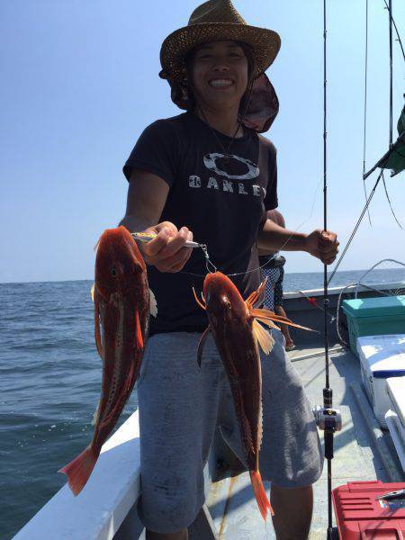 ファイヤードルフィン 釣果